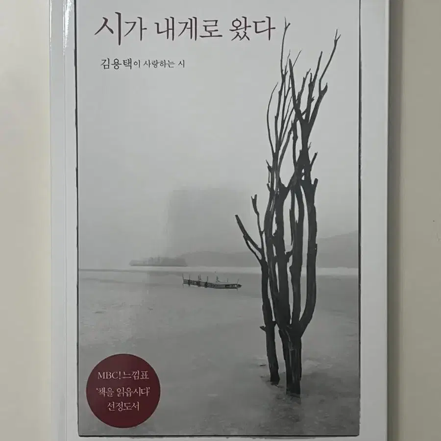 시가 내게로 왔다 - 김용택