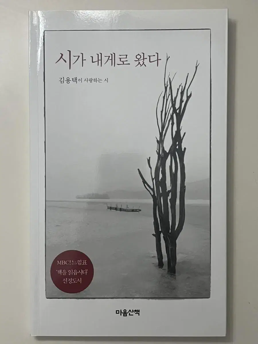 시가 내게로 왔다 - 김용택