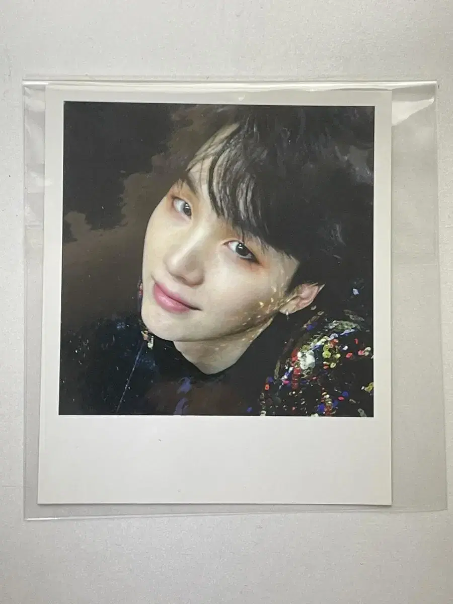 Wings suga pola WTS