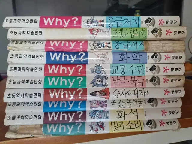 Why책 10권