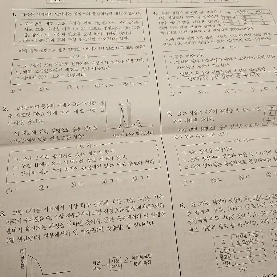 시대인재 브릿지, 한수,션티  박썬 지구과학 모의고사 김승리 모의고사