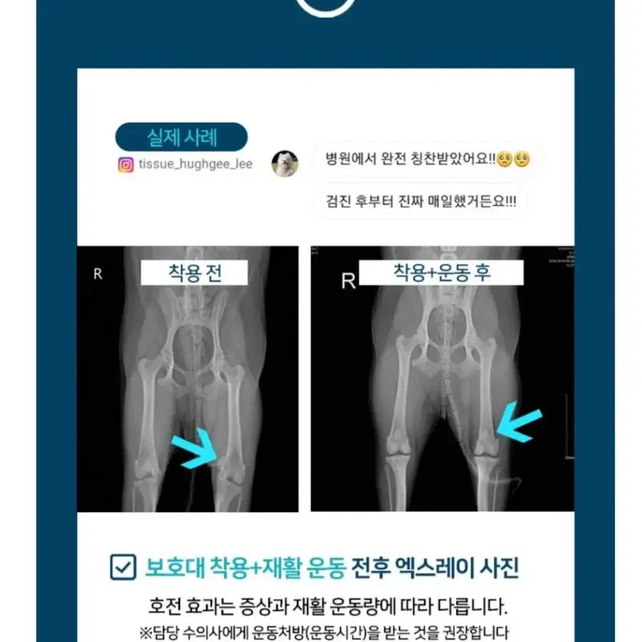 강아지 발토 슬개골 탈구 보호대