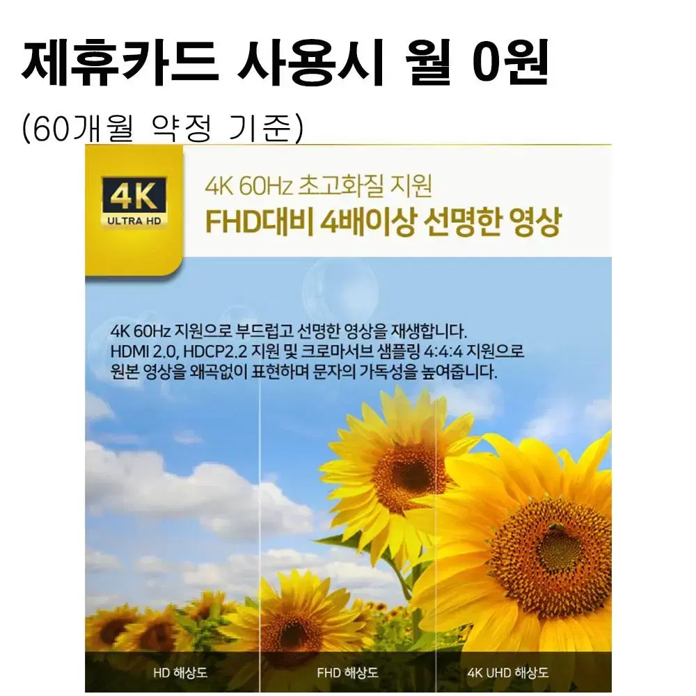 월14900원[렌탈]대우써머스 UHD TV 55인치 블랙