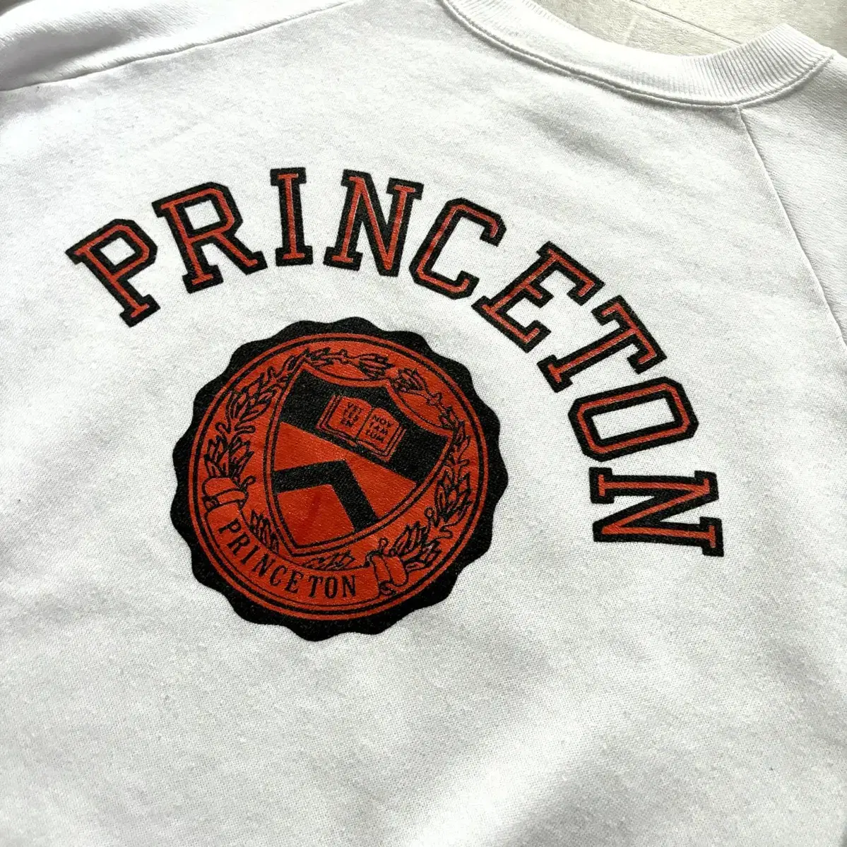 80's 챔피온 'PRINCETON' 스웻셔츠 95 or 우먼