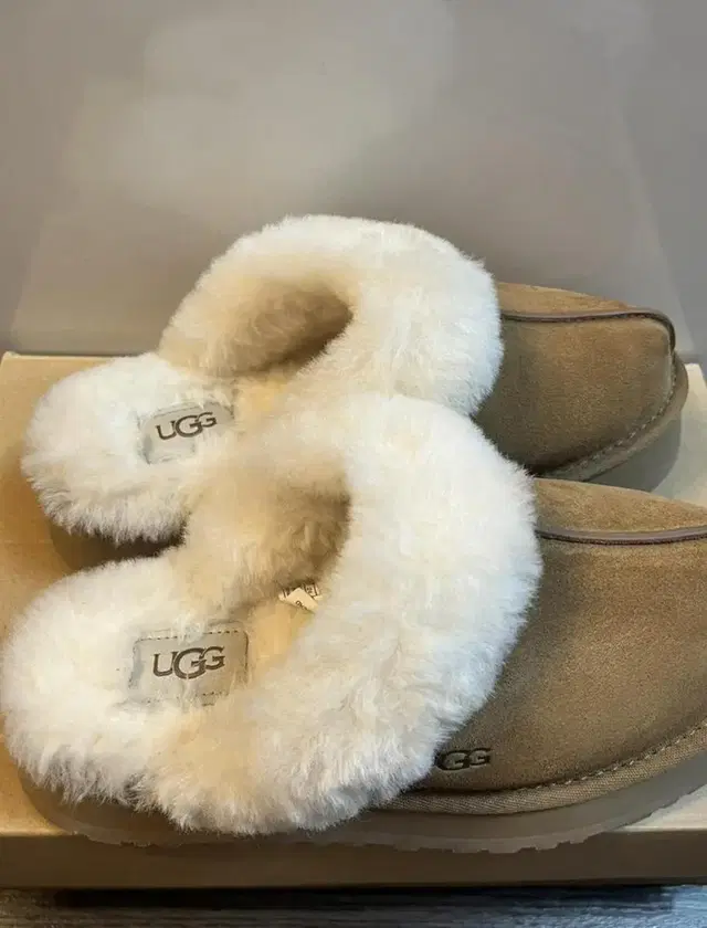 정품 어그 디스케트 슬리퍼-Ugg Disquette Slipper (US