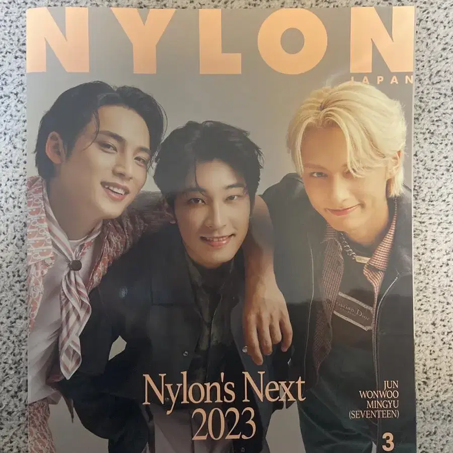 세븐틴 잡지 양도 디아이콘 spur vivi nylon