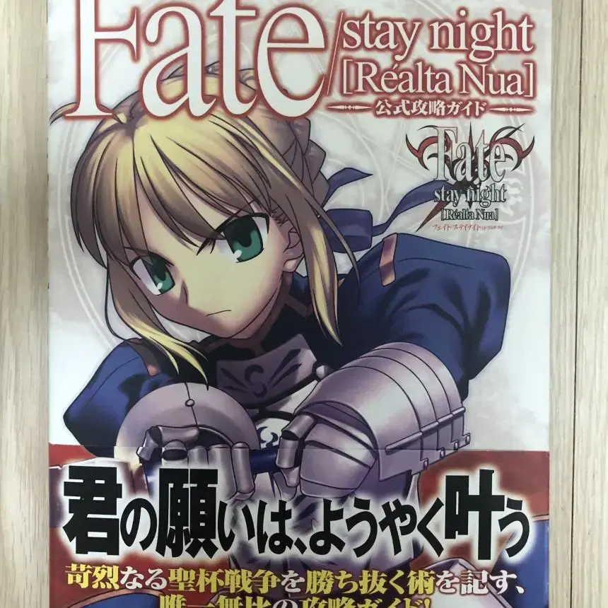 페이트 공식 공략가이드(Fate/stay night Realta Nua)