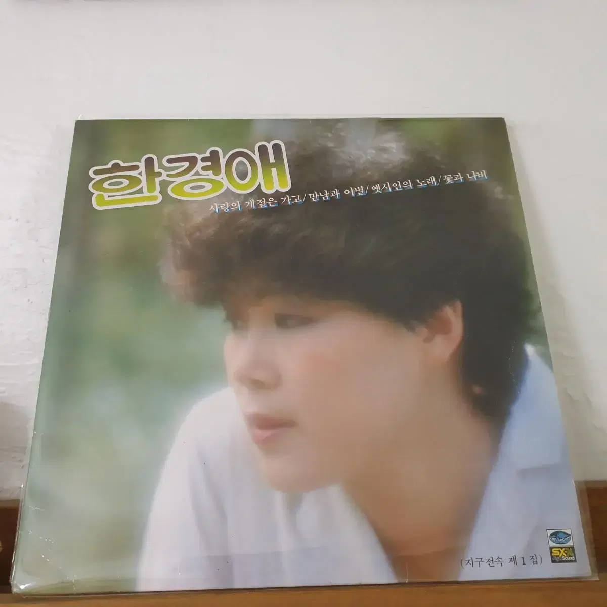 한경애히트곡모음 1집  LP  1983  옛시인의노래  어디쯤가고있을까