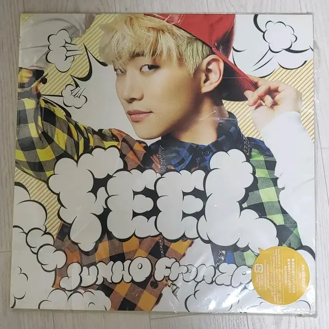 준호 feel lp 단순개봉