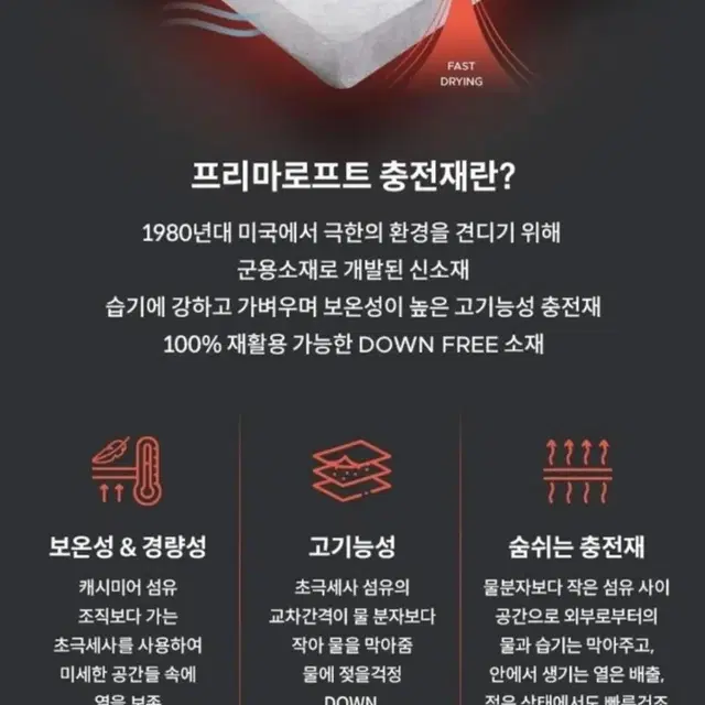 바스키아골프 경량패딩