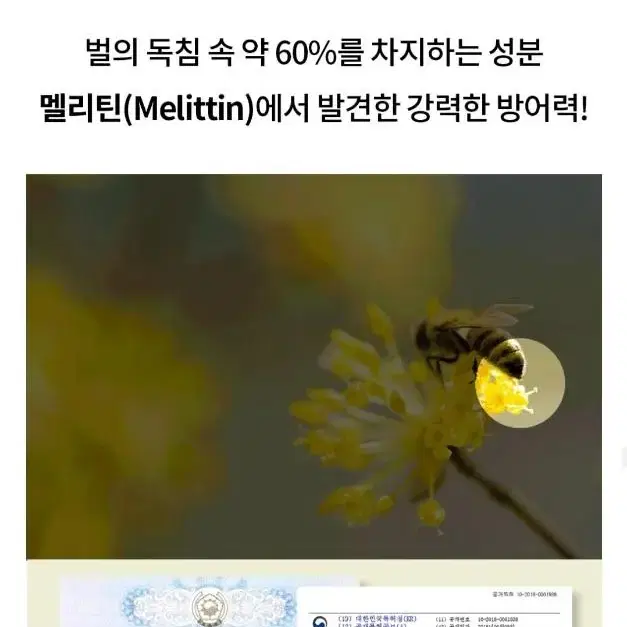 6억 초고가원료 나노단위 역대급 모공 피부결 눈가 팔자 주름 쫀결탱 크림