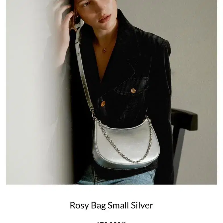 드메리엘 로지백 스몰 실버 Rosy Bag Small Silver