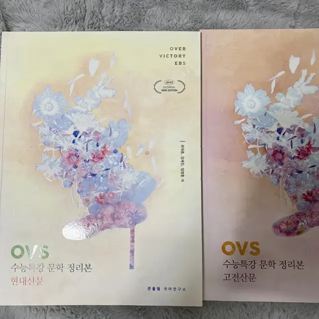 OVS 수능특강 문학 정리본