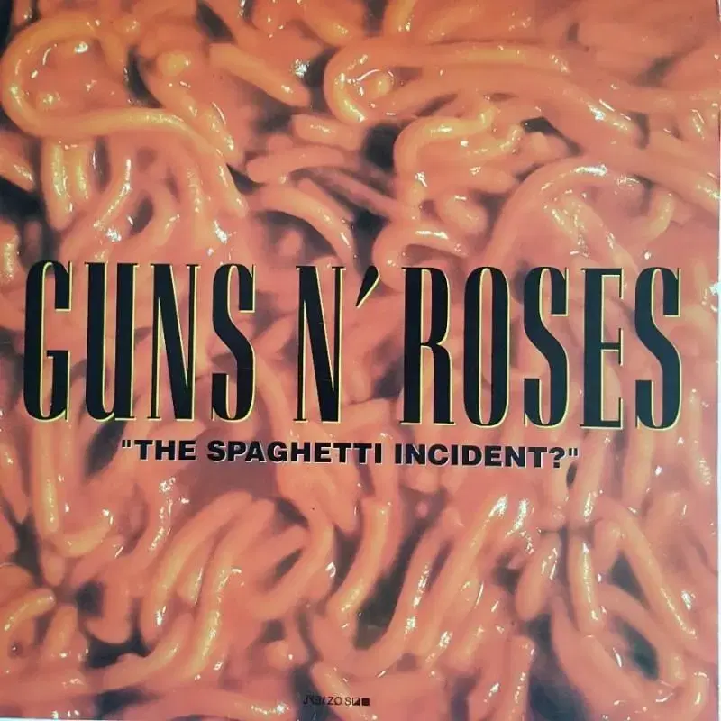 GUNS N' ROSES-"THE SPAGHETTI INCIDENT?