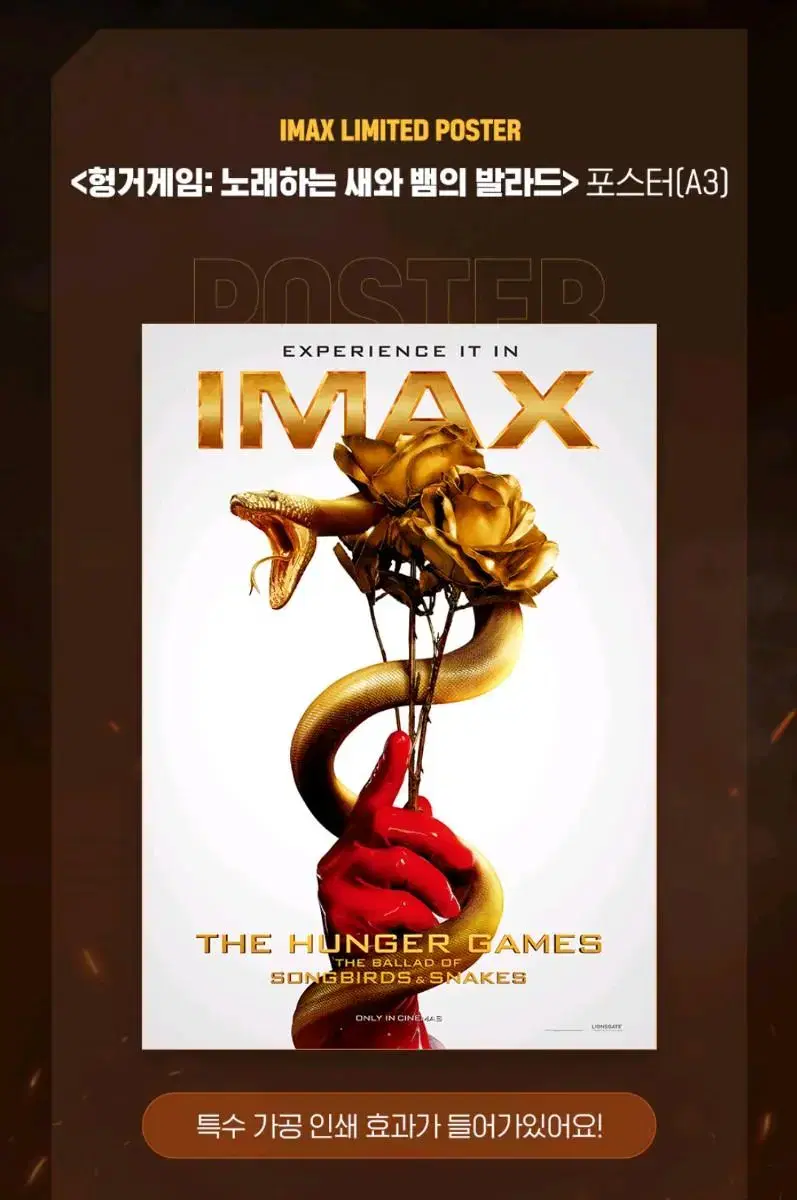 헝거게임 IMAX A3 포스터