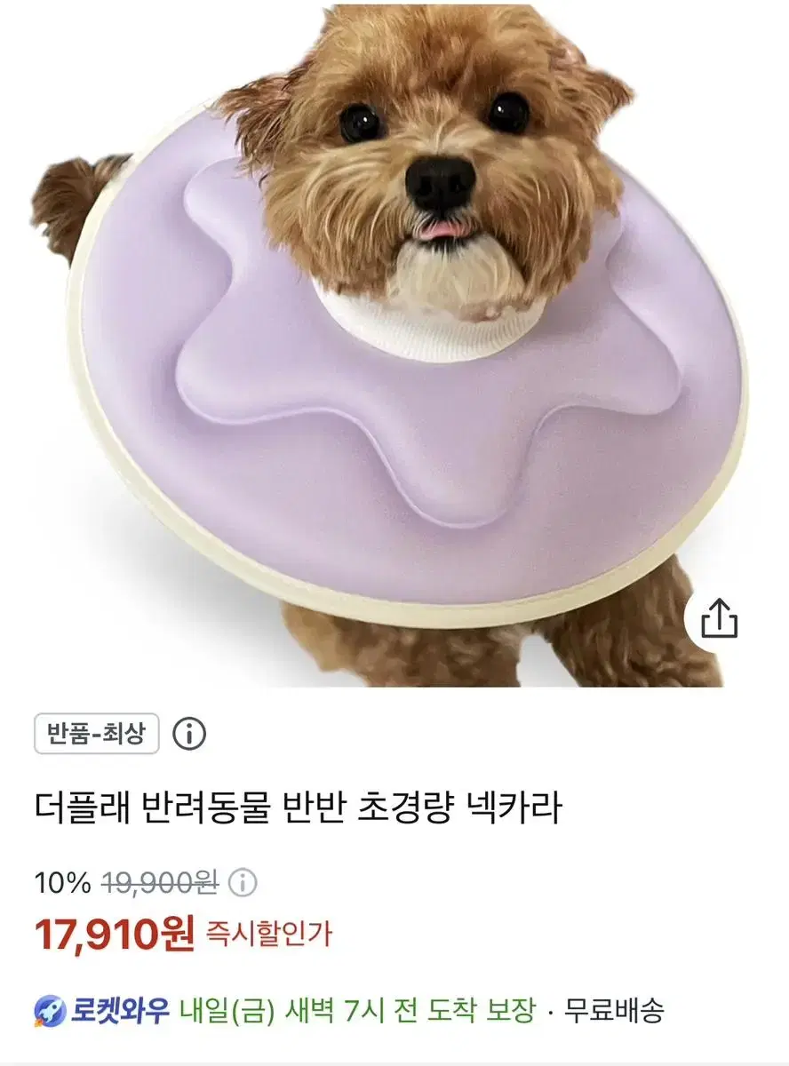 애견 넥카라 새제품