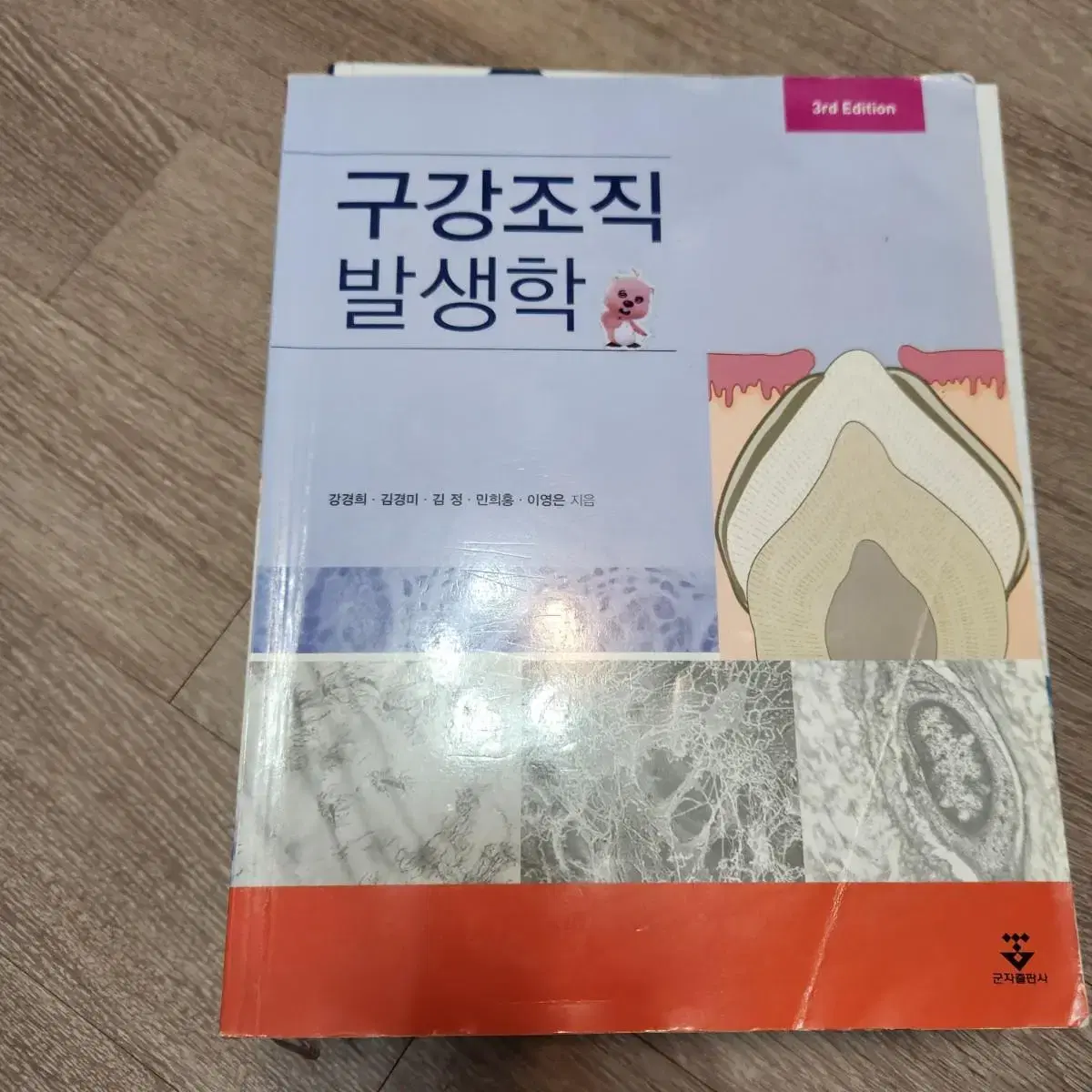 치위생과 전공책 판매