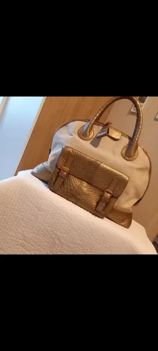 Colombo Crocodile Bag Boston Bag Wani Bag