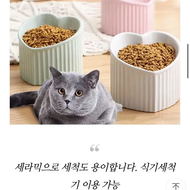 고양이 강아지 세라믹 밥그릇