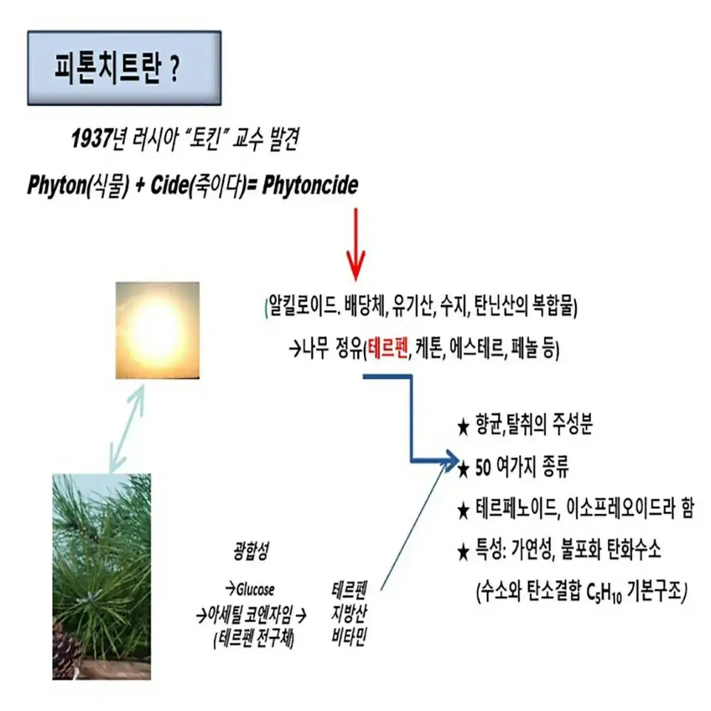 국산 스프레이70ml/500ml 리필용 10EA