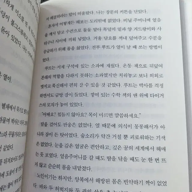 박사가 사랑한 수식