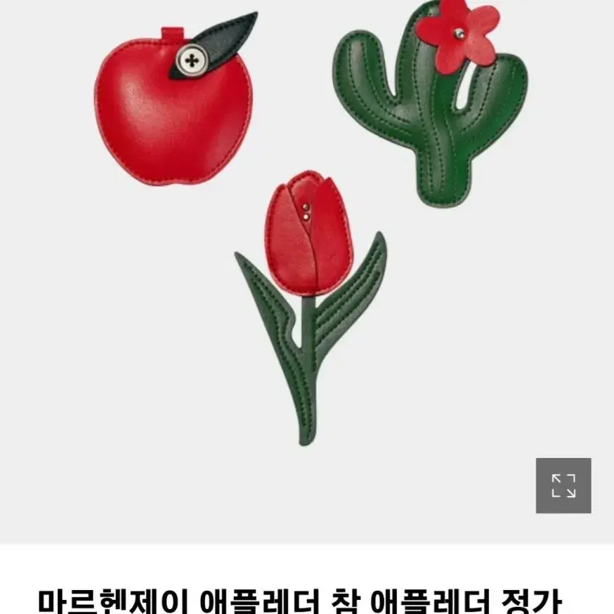 미사용]가죽^마르헨제이)사과.선인장.튤립 백참(키링)