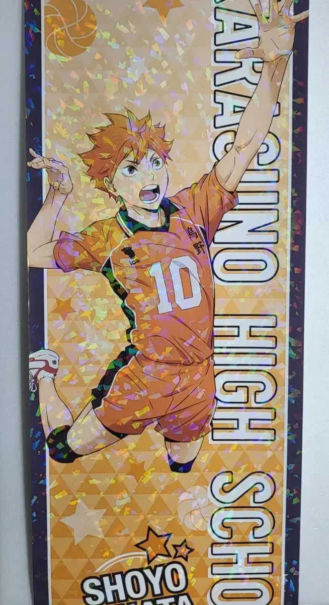 Feeding, takeduck)) haikyuu hinata Shoyo poster