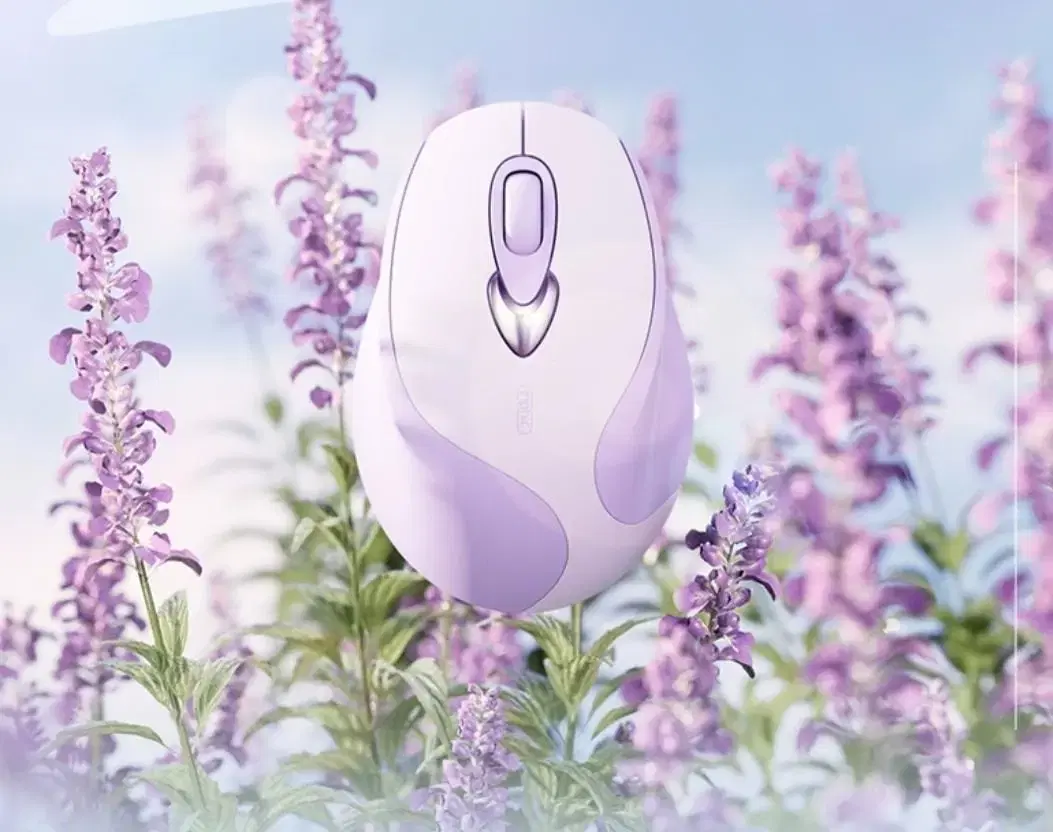 Wireless Bluetooth mouse