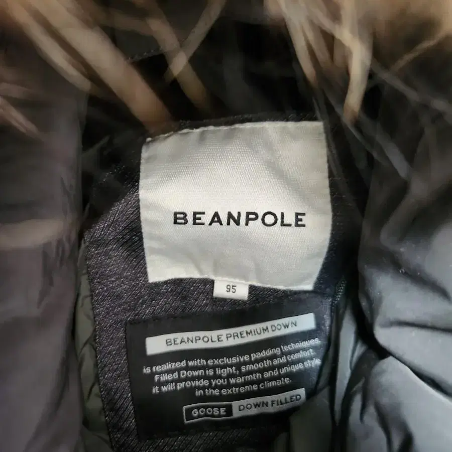 빈폴 BEANPOLE 남성 패딩 거위솜털 95