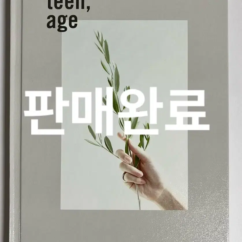 세븐틴 TEEN, AGE 박수 앨범