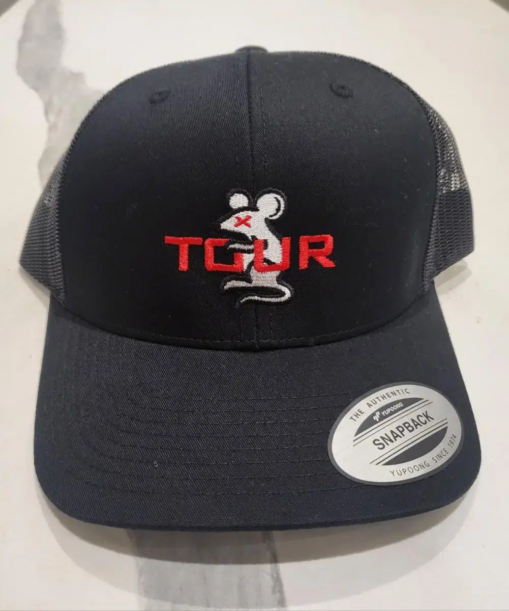 스카티카메론 Etro Trucker Hat Tour Rat