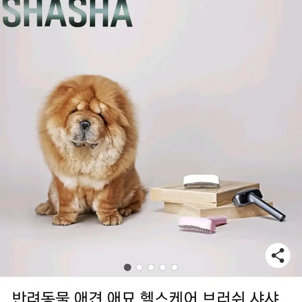 애견 헬스케어 브러쉬 샤샤