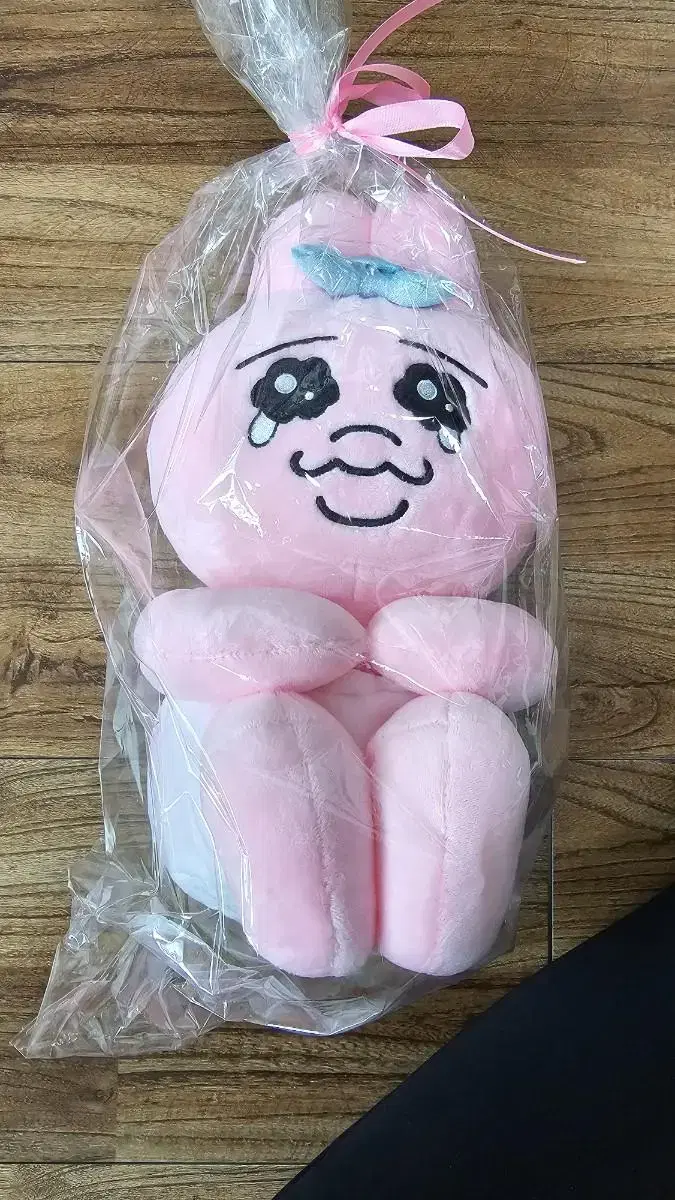 빤쮸토끼 봉제인형 23cm