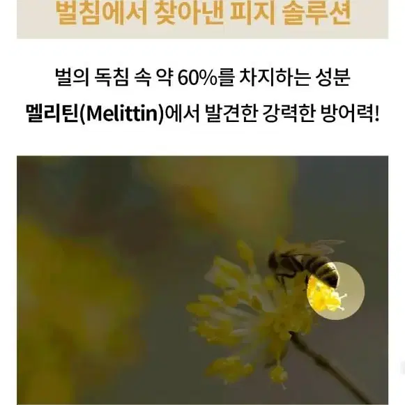 정제수0%6억 초고가원료 나노단위 역대급 모공 피부결 주름 쫀결탱 크림