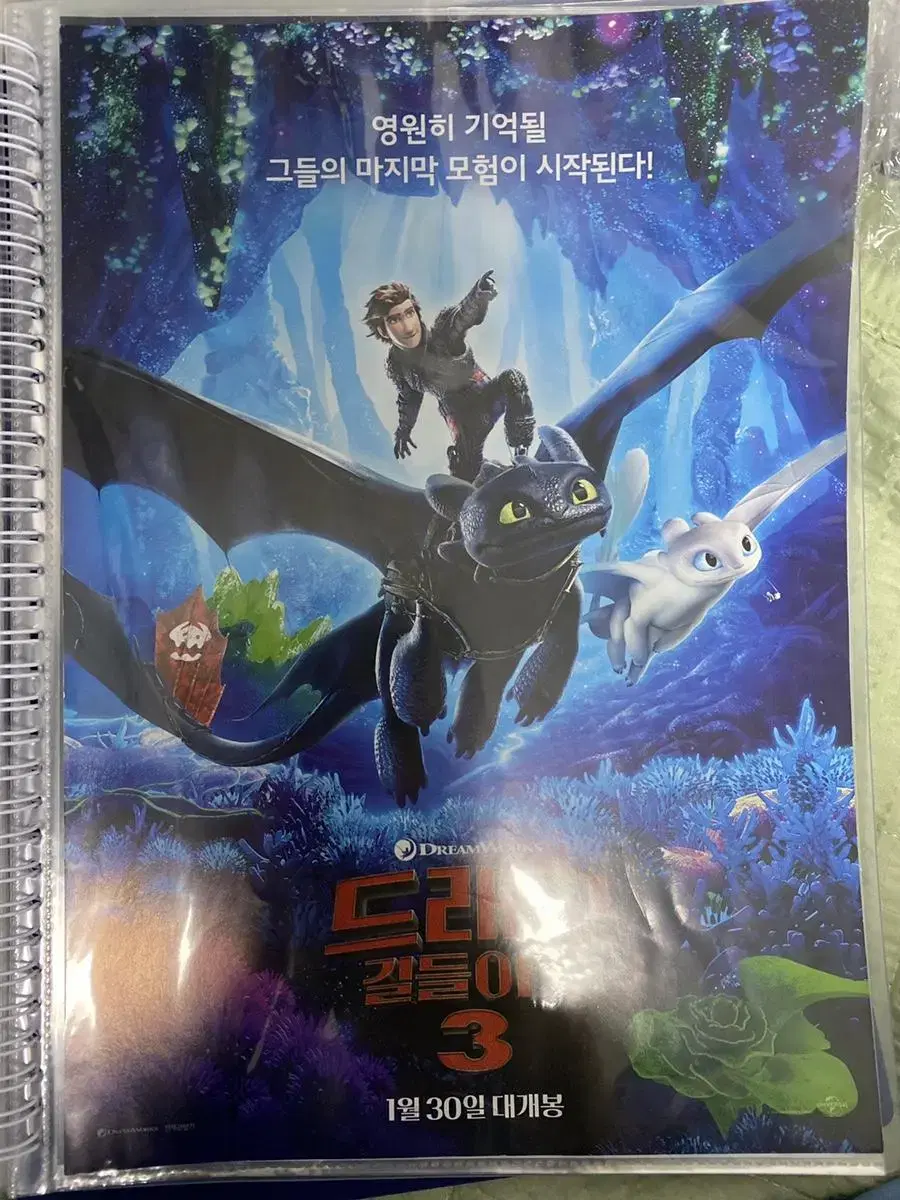 How to Train Your Dragon 3 Movie Poster