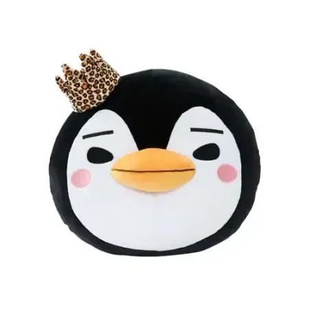 Lee Junho ZOOPM Peng Pengi Cushion