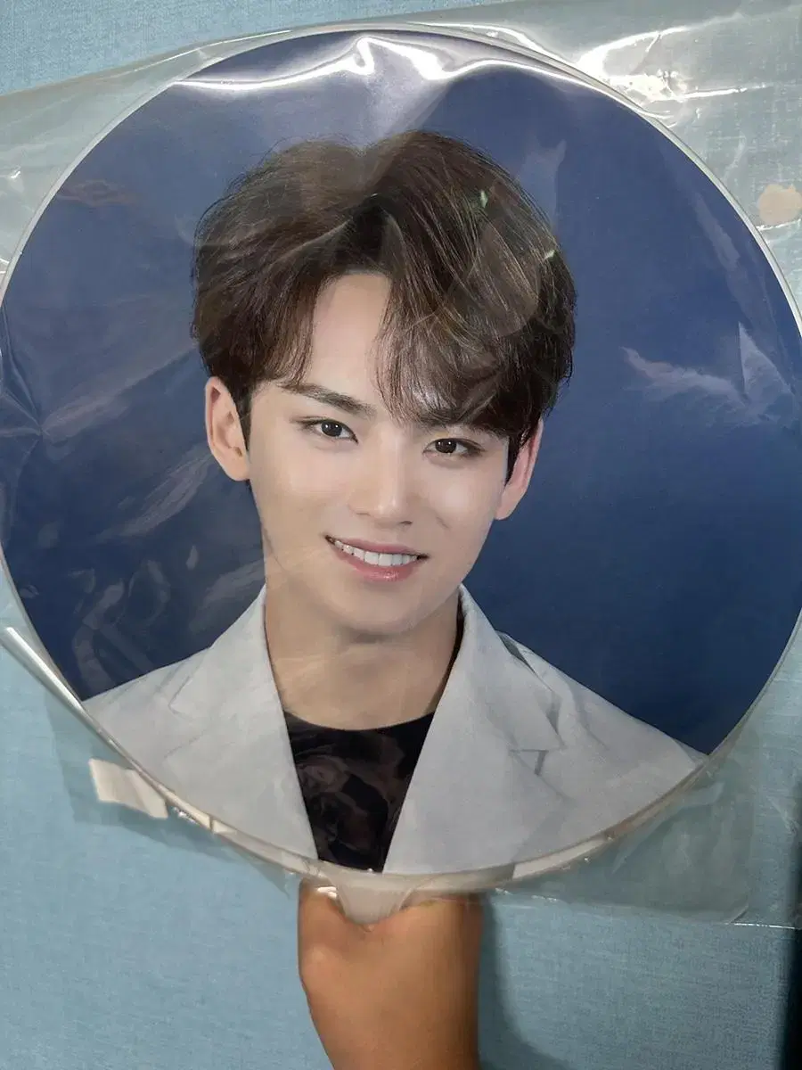 Seventeen mingyu imagepicket