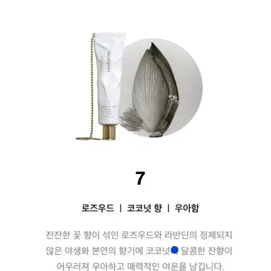 템버린즈 체인 핸드크림 30ml