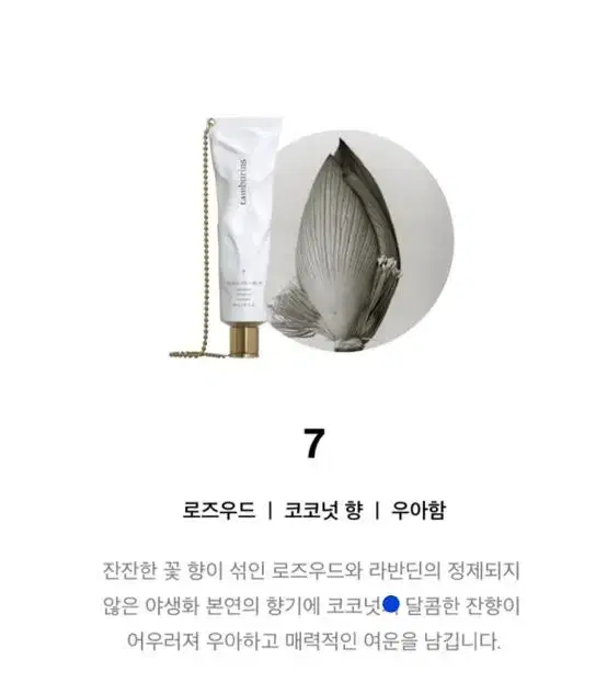 템버린즈 체인 핸드크림 30ml