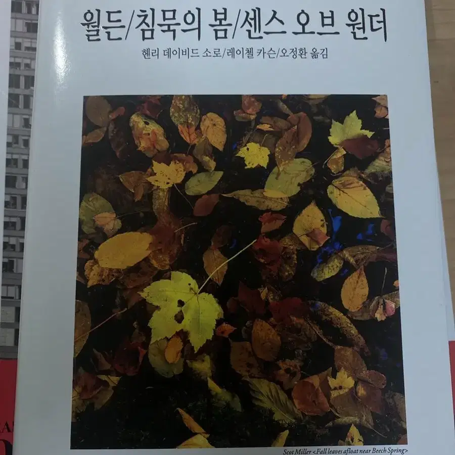 월든/침묵의 봄/센스 오브 원더