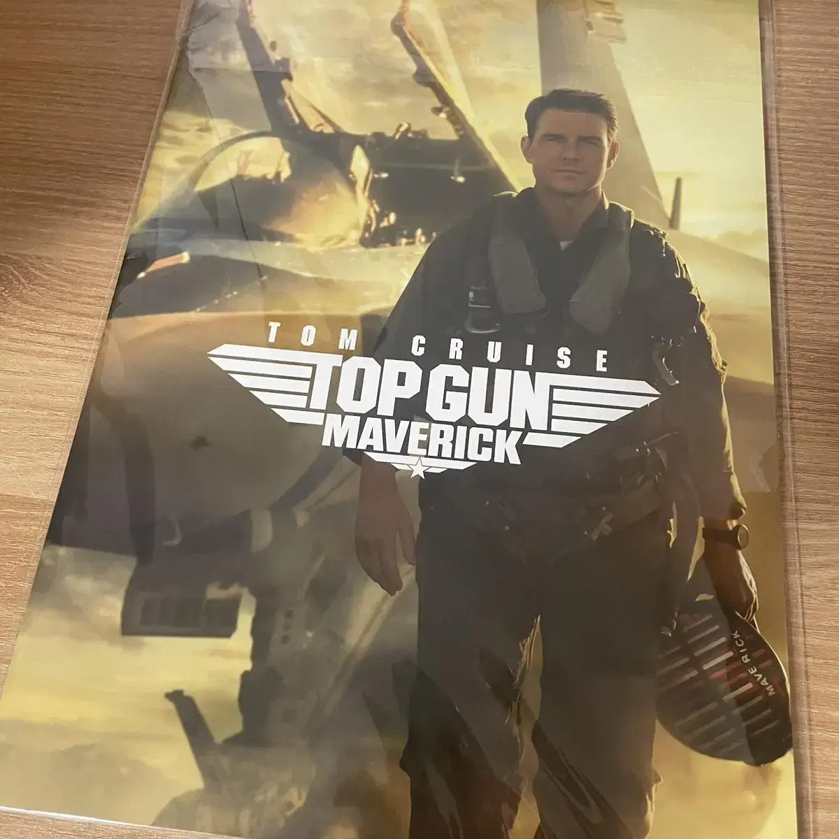 Top Gun Japan brochure