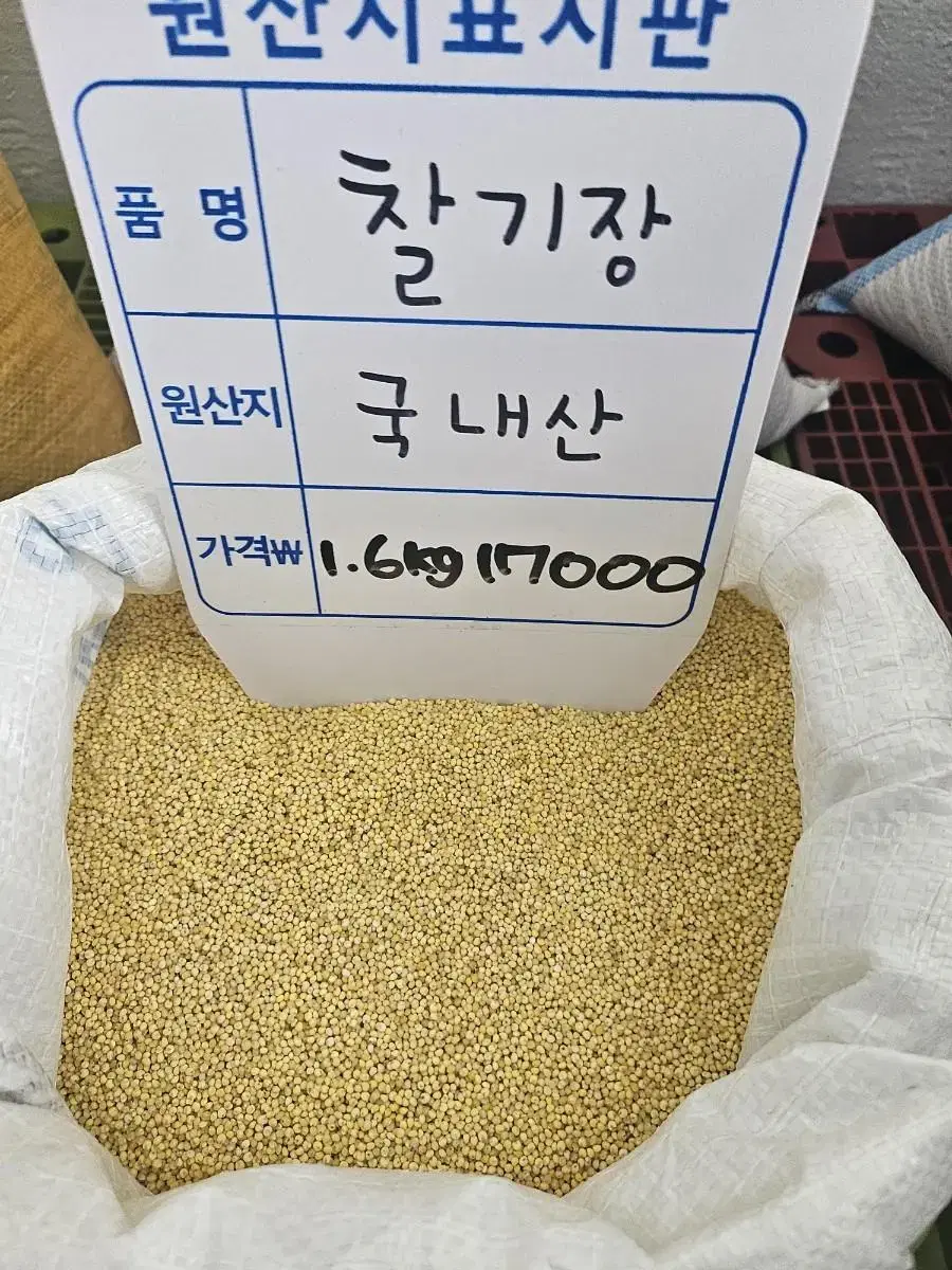 찰기장쌀