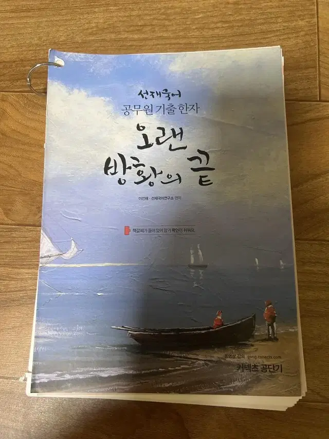 선재국어 오랜방황의끝 한자