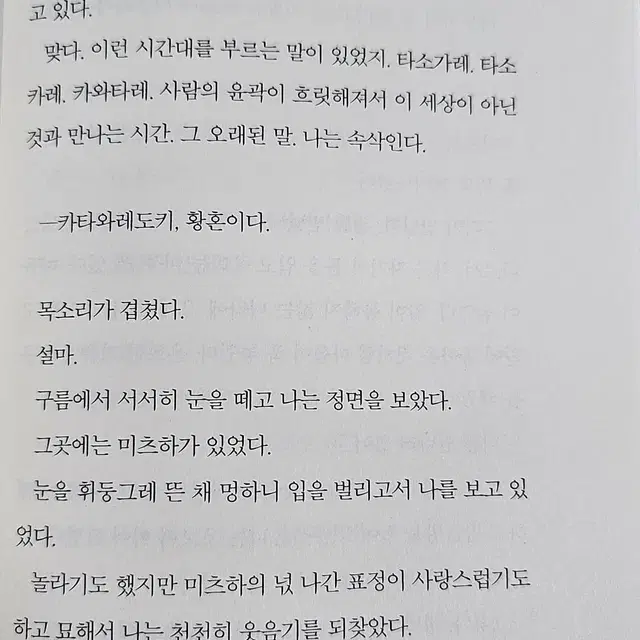 너의 이름은 소설 / 라노벨