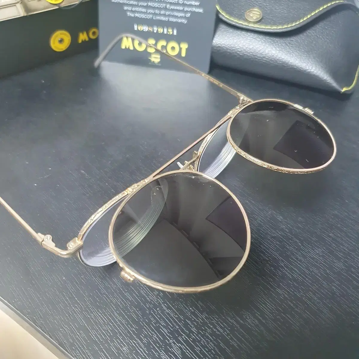 MOSCOT 모스콧 드레이 플립 선글라스