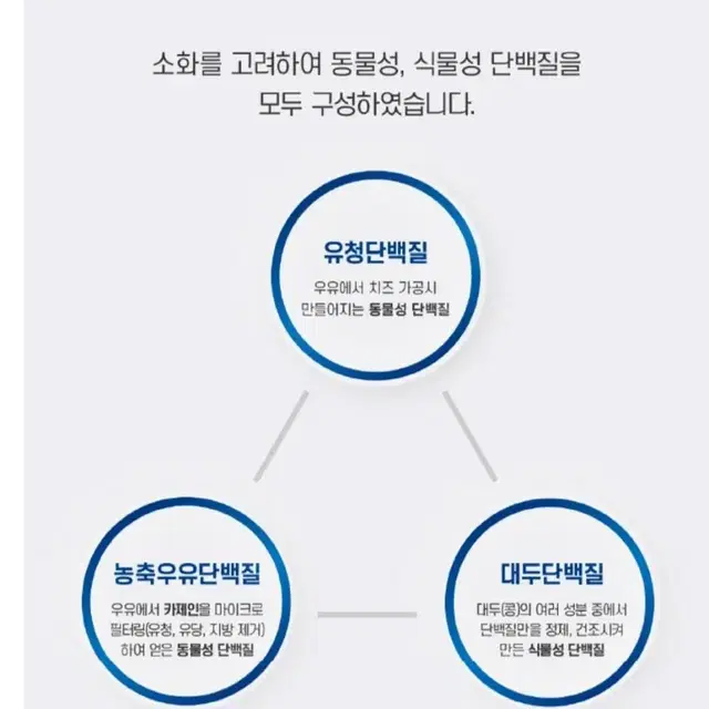 원기회복 세브란스 단백질 다이어트에도 좋아