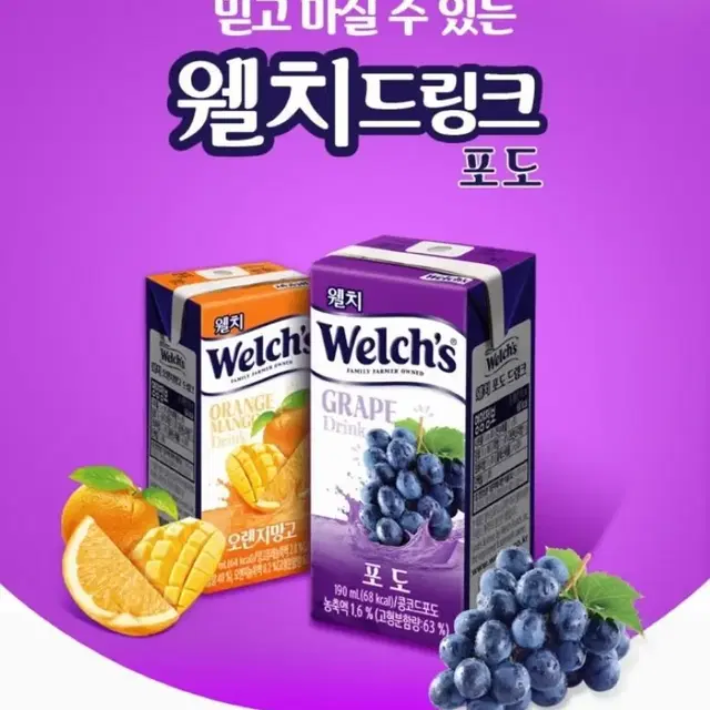 웰치스 드링크 190ml 포도24개+오렌지망고24개