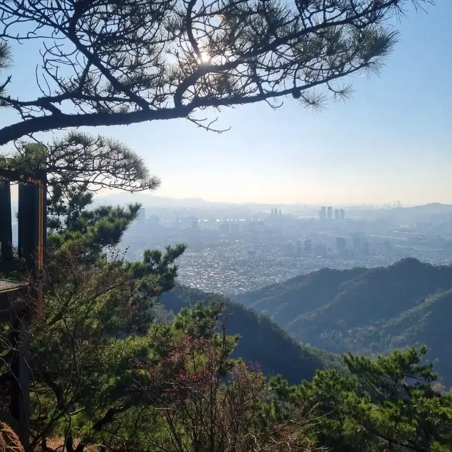 아크테릭스 감마SL 자켓 라지 사이즈 구버전(자수로고) 구매 합니다