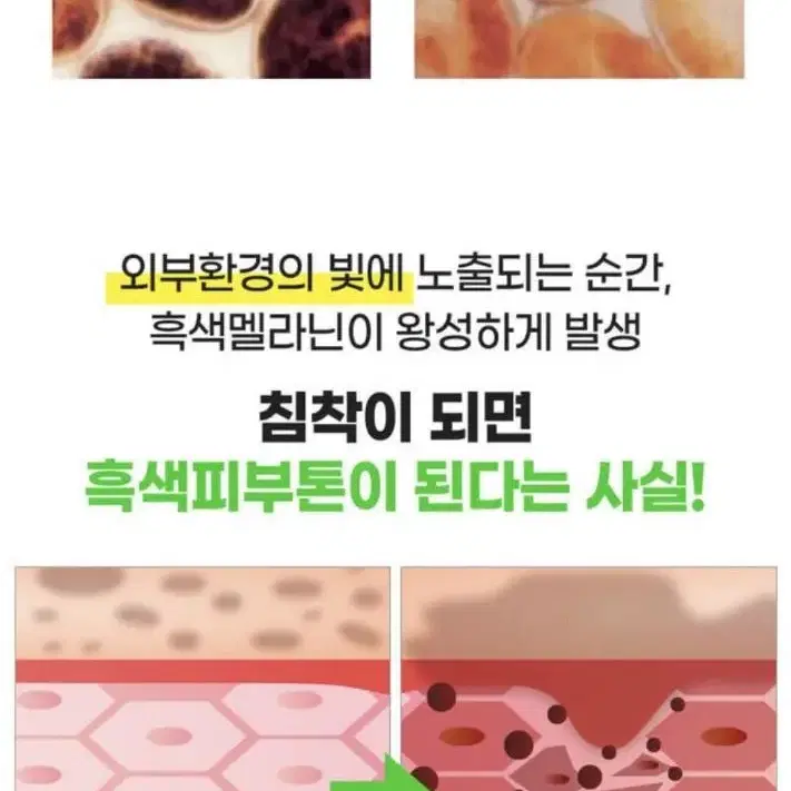 항산화 블루라이트 멜라닌 차단 활성산소 억제 고기능성 미백 동안 세럼