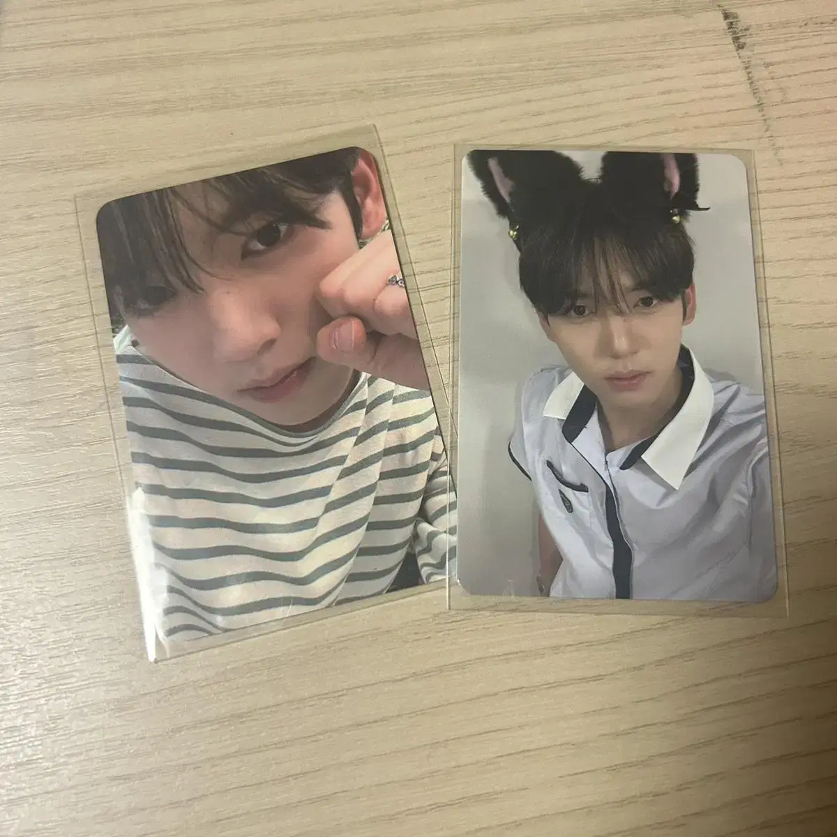 zerobaseone zb1 han yujin dumplingfist cat's ear photocard wts